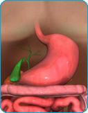 Upper Gastrointestinal